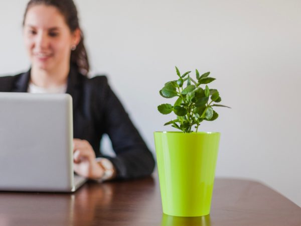 Gli articoli promozionali sostenibili: la nuova tendenza per il marketing green