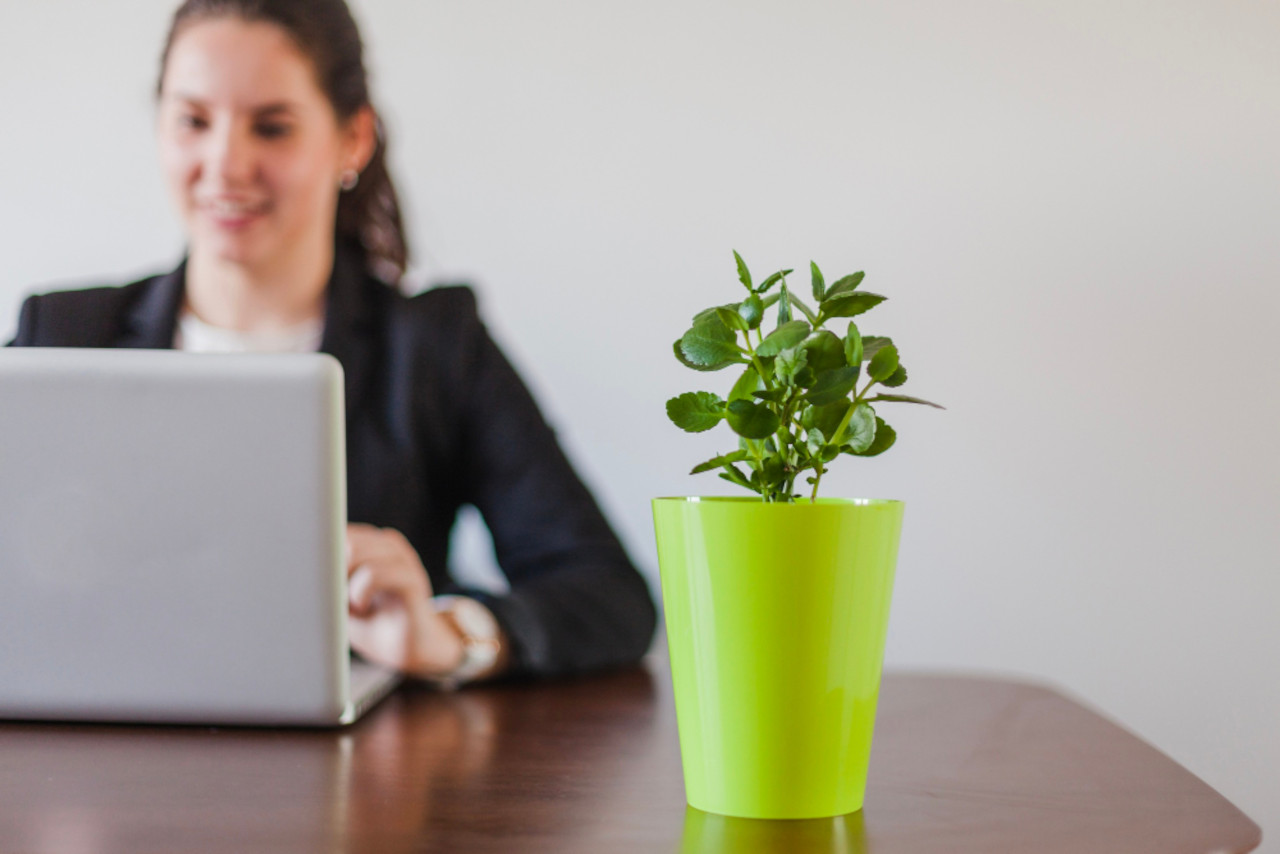 Gli articoli promozionali sostenibili: la nuova tendenza per il marketing green